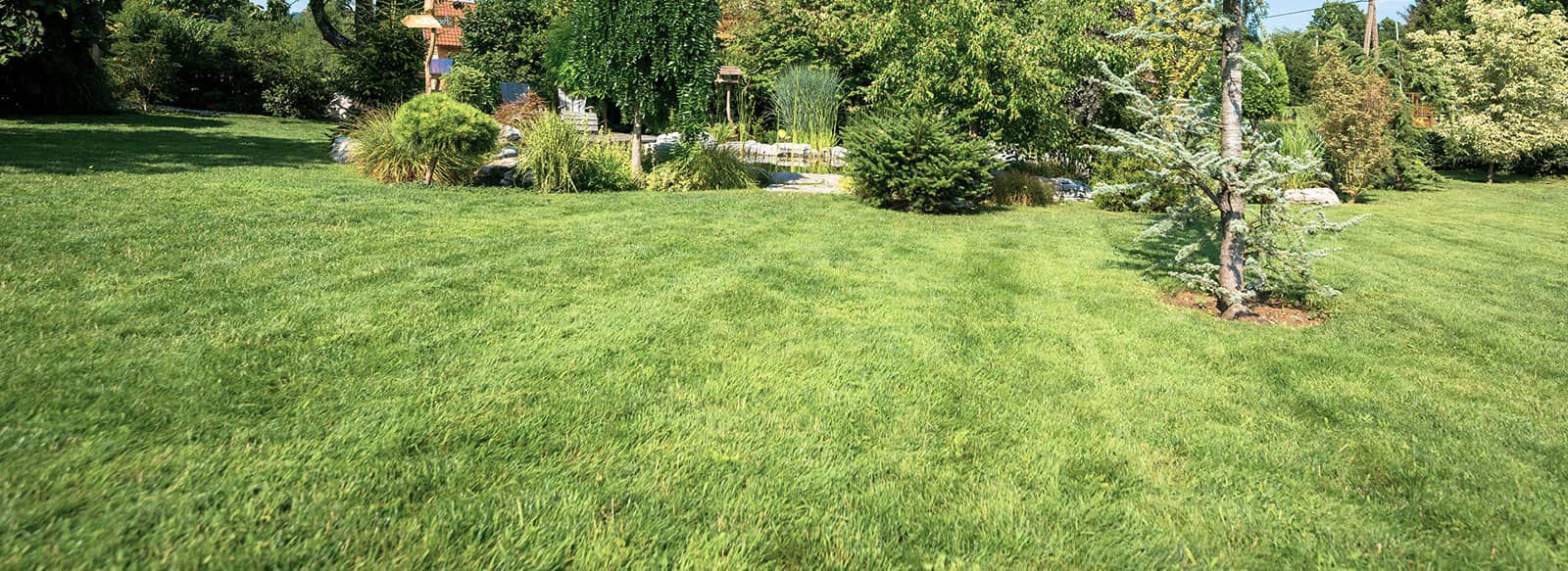 Twin Lakes Nursery Lawn Installation Lawn Installation