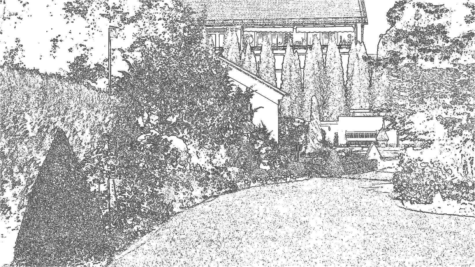 Twin Lakes Nursery  Garden & Planting Design garden and planting desgin