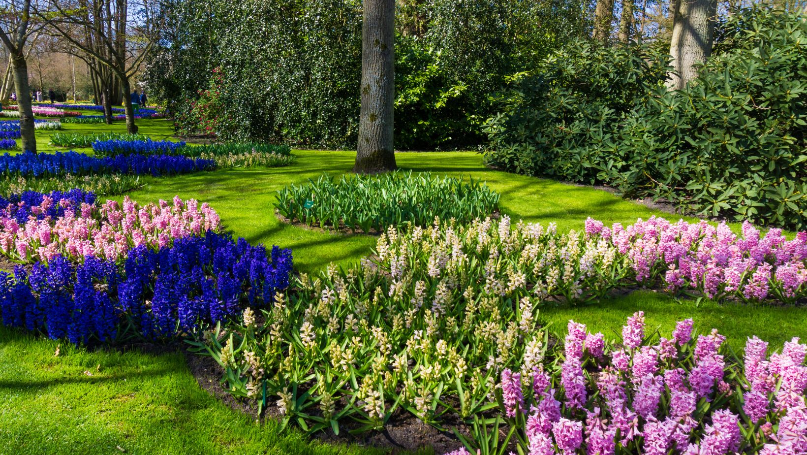 Twin Lakes Nursery  Garden & Planting Design garden and planting desgin