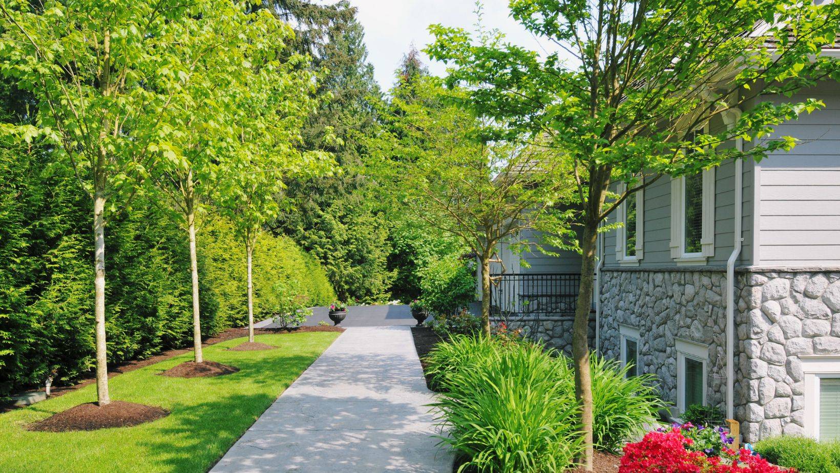 Eco-Friendly Landscaping