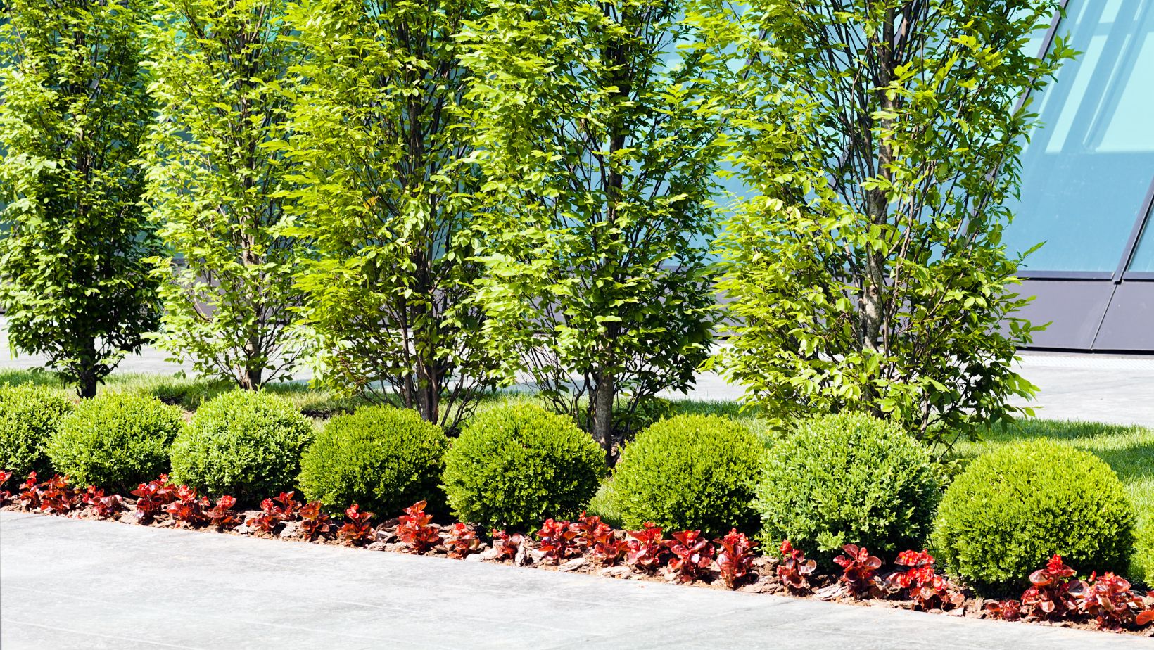 It’s time to plant the foundation of your outdoor beauty