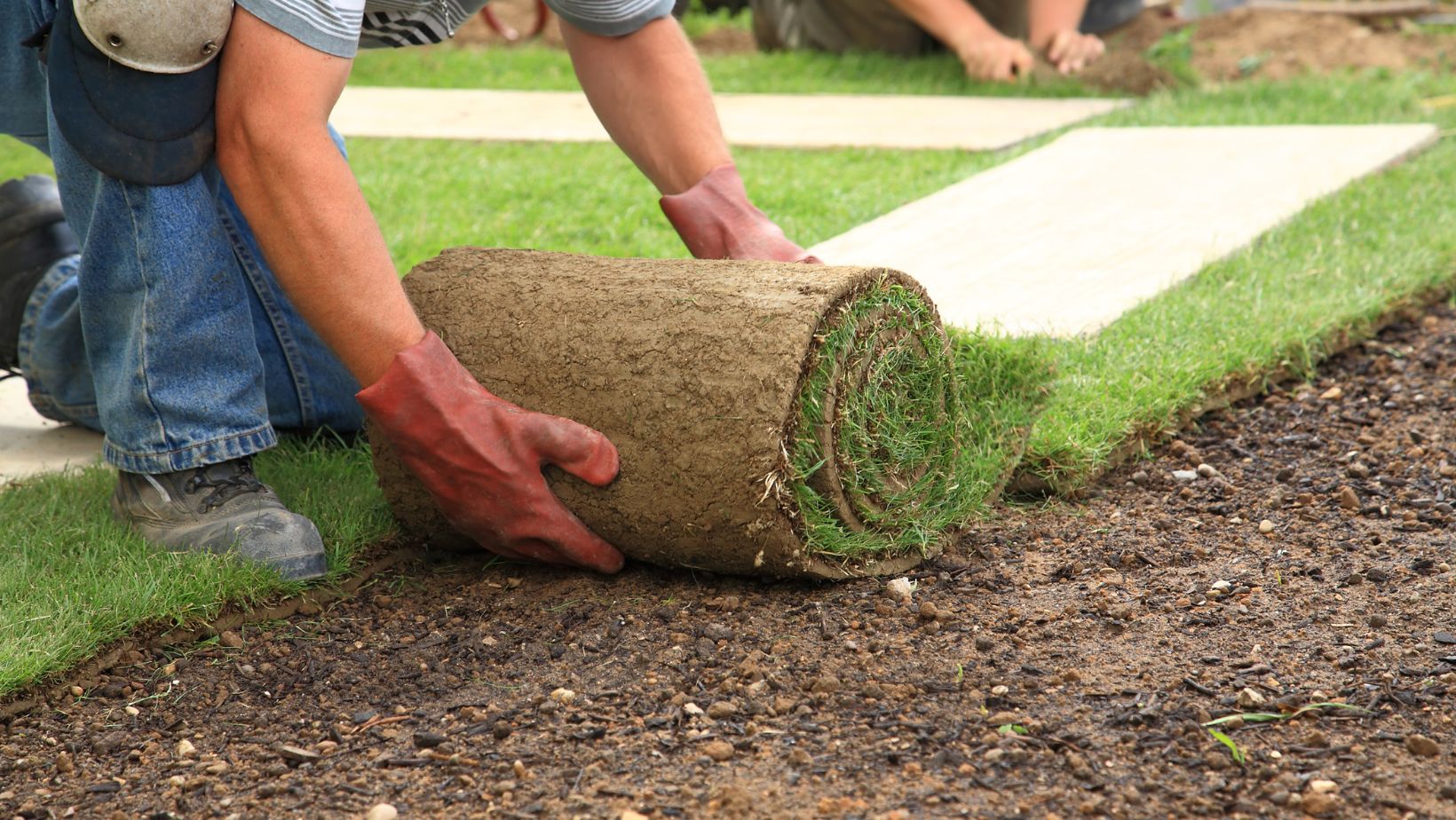 Lawn Installation