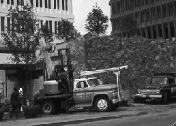 Twin Lakes Nursery About Us about