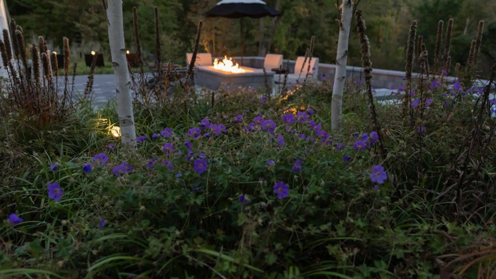 where can i find landscape lighting design services in Grand Rapids shown through a softly lit outdoor living space with planting and fire feature
